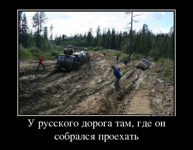 Демотиваторы (51 фото) 