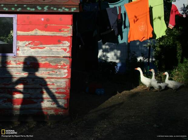 NatGeoMay20 NatGeoMay20 990x742 Обои для рабочего стола от National Geographic за май 2013
