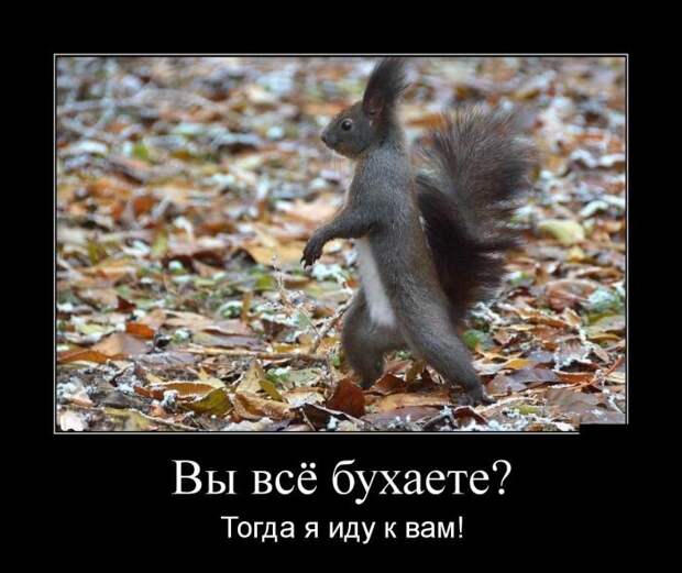 Демотиваторы (08.02.16) Демотиваторы (08.02.16)