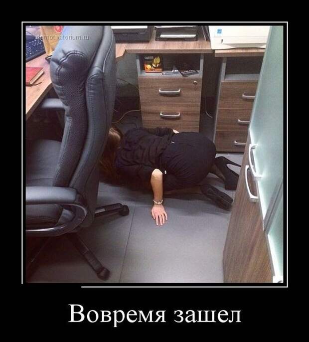 Подборка демотиваторов  демотиватор, юмор