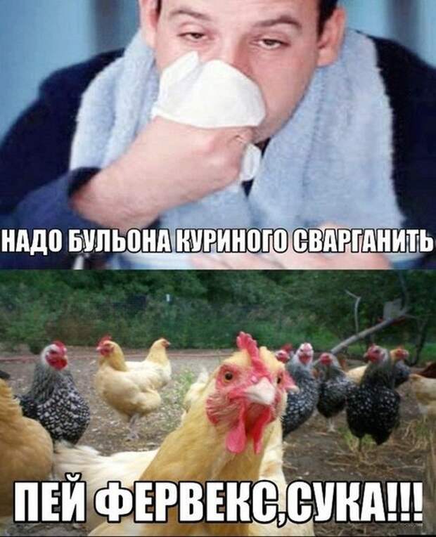 Картинки со смешными подписями картинки, прикол, юмор