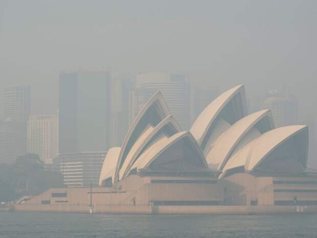 Смог от пожаров в буше накрыл сиднейскую гавань, ноябрь 2019. Фото: Emeran Gainville / Greenpeace