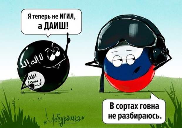 Прикольные картинки для всех (43 шт)