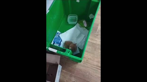 Video: Видео от Донецкая группа новостей|Донецк.ДНР