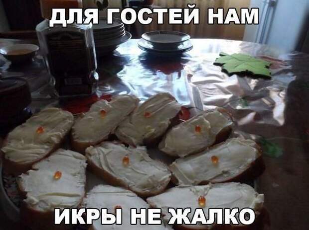 Картинки со смешными надписями Картинки со смешными надписями