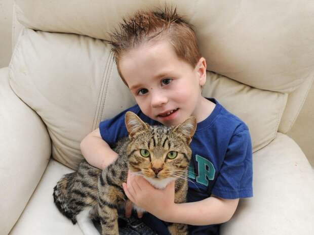 Отважный кот спас мальчика от хулиганов  жизнь, кот, спаситель