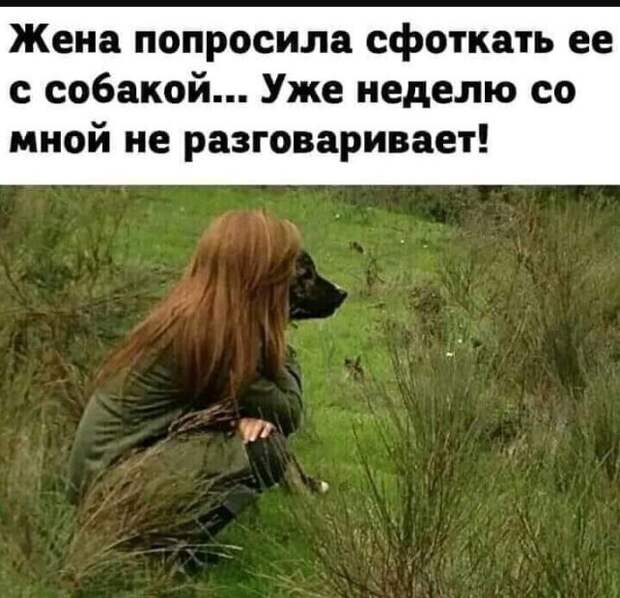 Новые смешные до слёз картинки (31)