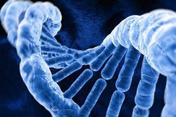 necrogenomic-dna-registry-6