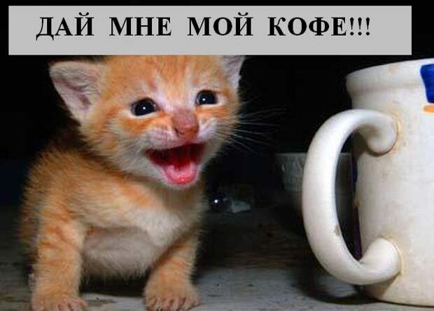 Мысли :) (50мыслей)