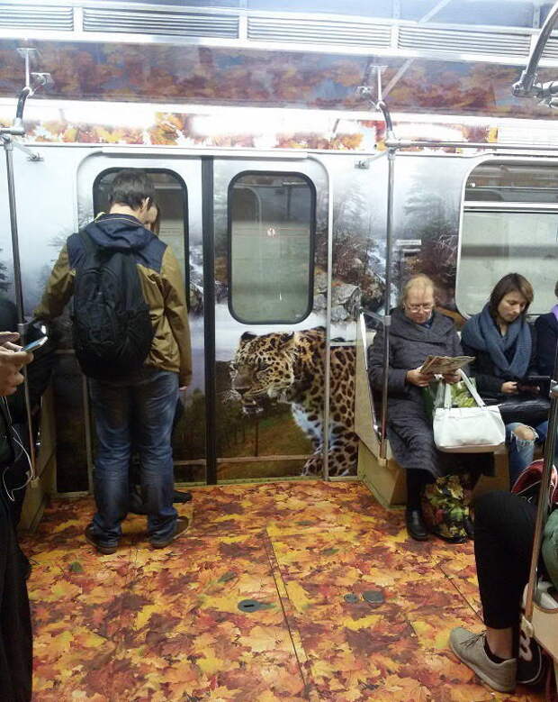 Внутри все стены, пол и потолок "отделаны" под природу. дизайн, метро