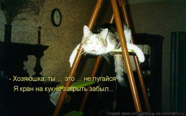 Мысли вслух :)