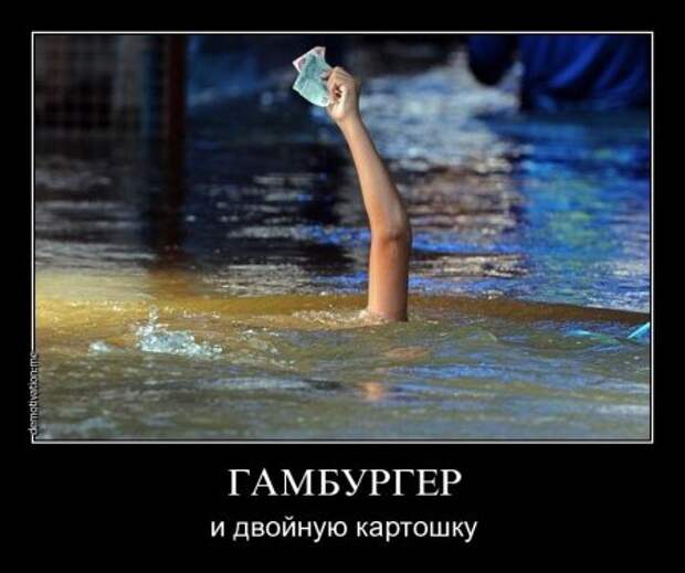 Демотиваторы это не только прикольные картинки но и ржачные фразы.