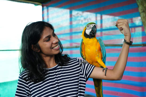 Bird park at a resort in vapi