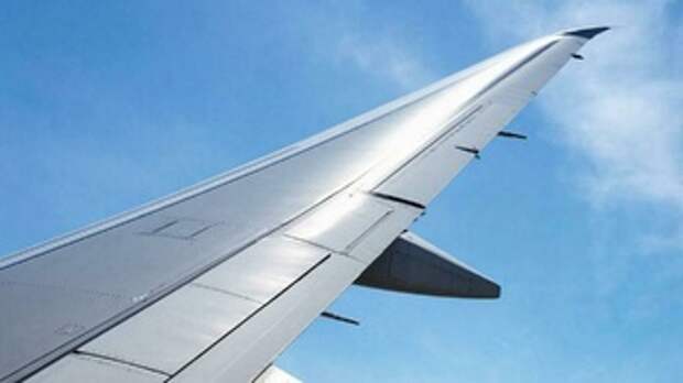 Крыло самолета / Фото: создано в нейросети