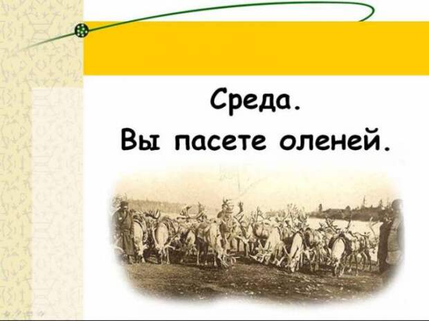 Если вам надоела ваша работа? (25 фото)