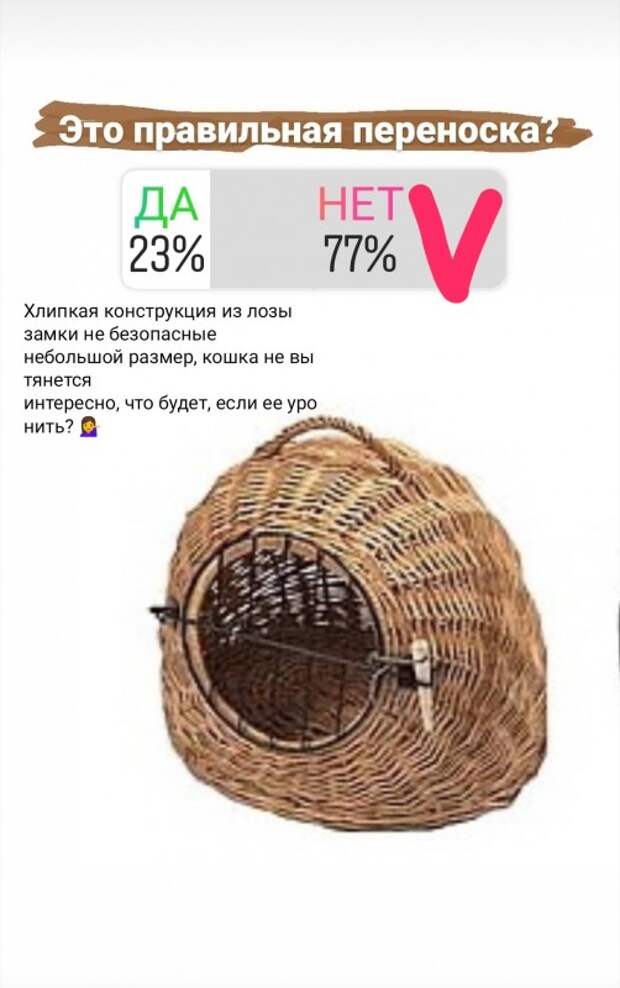 А у вас правильная переноска для кошки?