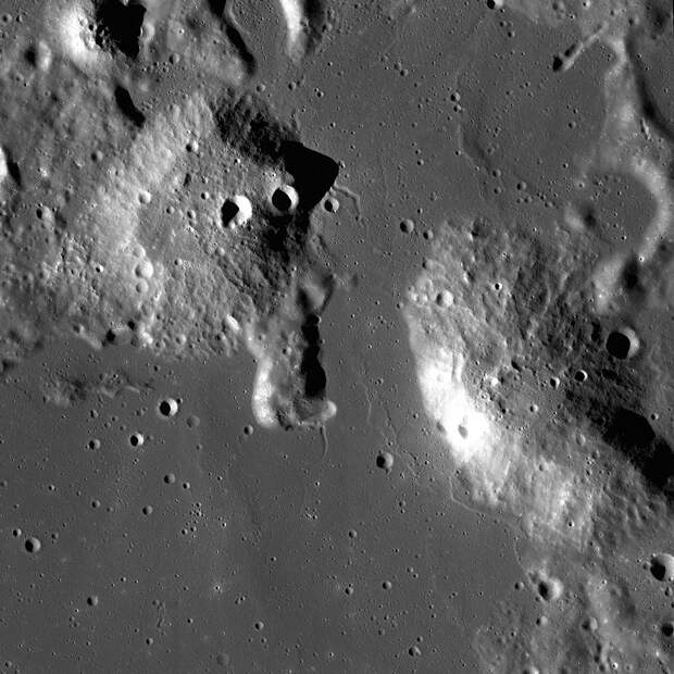 NASA отправит дрожжи на Луну
