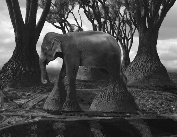 Уникальны сюрреалистичные фотографии сюрреалистичные фото, художник, искусство