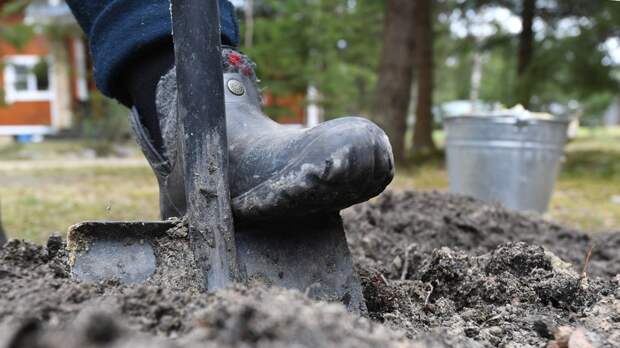 РИА Новости: в России могут измениться требования к садовым участкам