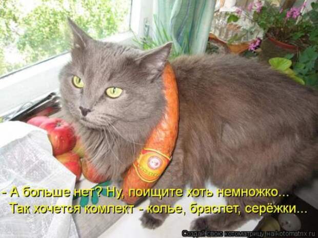Котоматрицы (картинки с надписями)