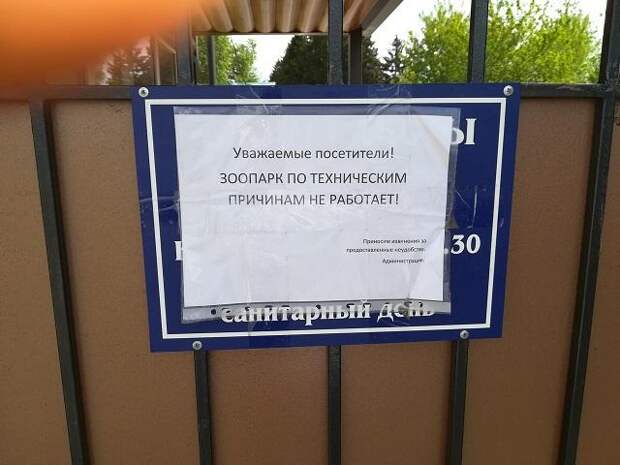 Уважаемые посетители зоопарка. Животных не кормить. Объявление зоопарк. Уважаемые посетители зоопарка. Уважаемые посетители зоопарка.