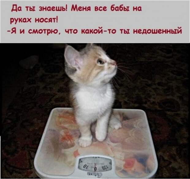 Анекдоты, истории и картинки с надписями