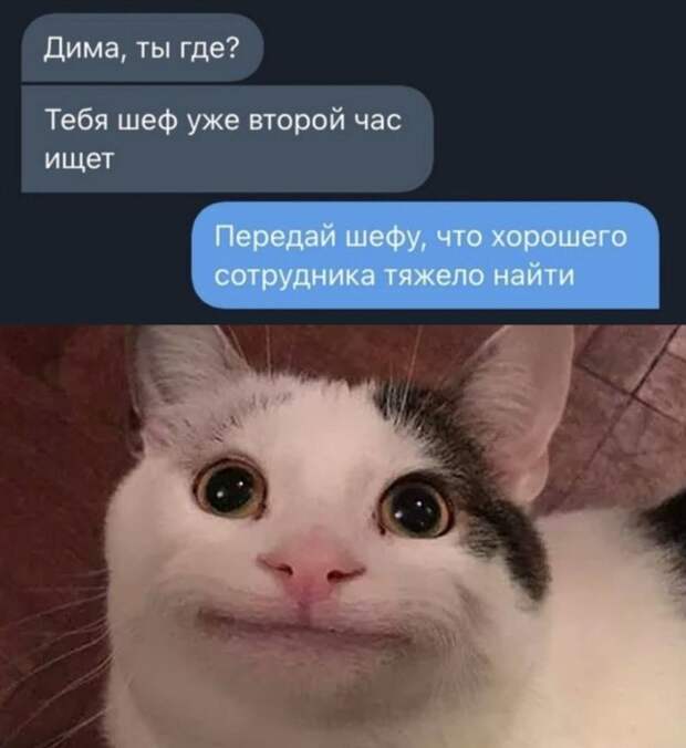 Смешные картинки 9 сентября 2021 года