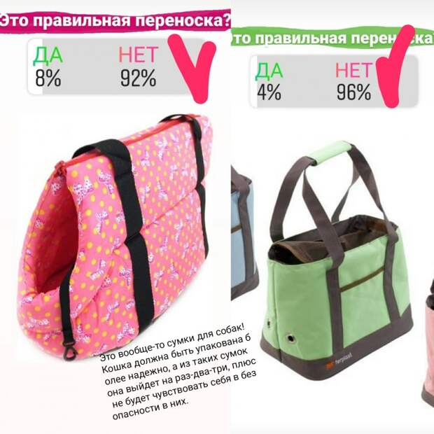 А у вас правильная переноска для кошки?