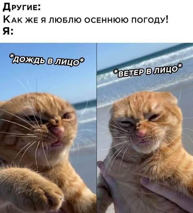 Не люблю осеннюю погоду