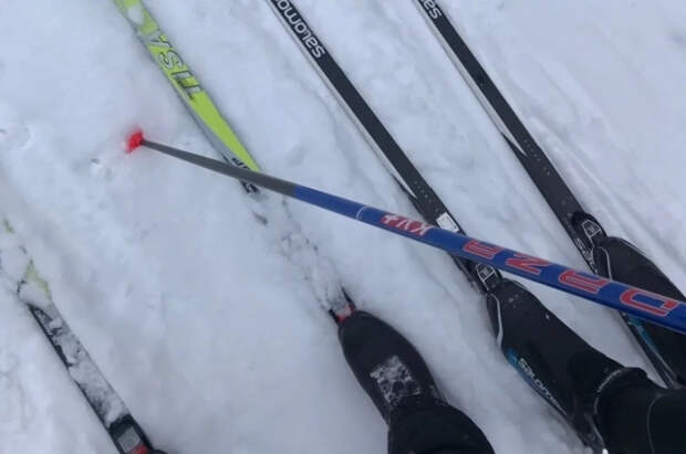 В Москве лыжным спортом занимаются около 47 тыс. человек