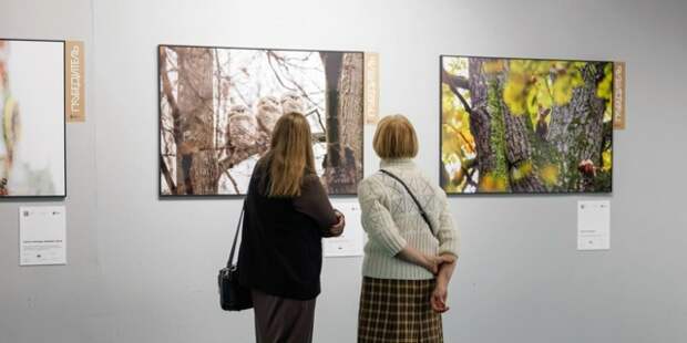 Фестиваль «Золотая черепаха» объявил прием конкурсных работ в специальной номинации «Дикая природа Москвы»