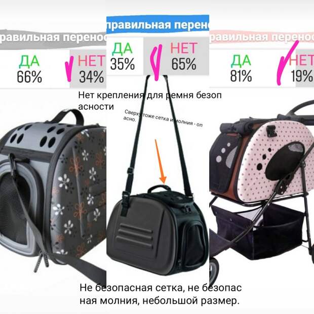 А у вас правильная переноска для кошки?