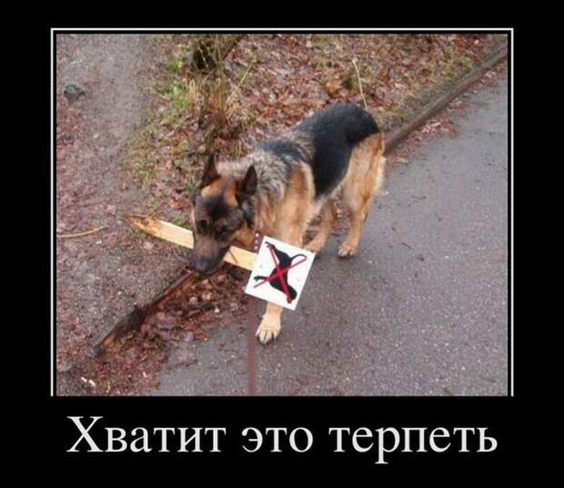 Старые прикольные демотиваторы (60 штук)