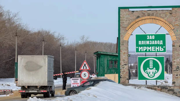 В Госдуме анонсировали поправки о компенсациях для лишившихся скота