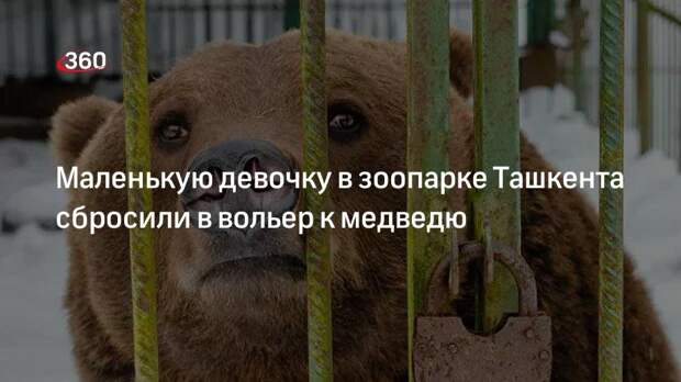 В Ташкентском зоопарке молодая женщина сбросила ребенка в вольер с медведем