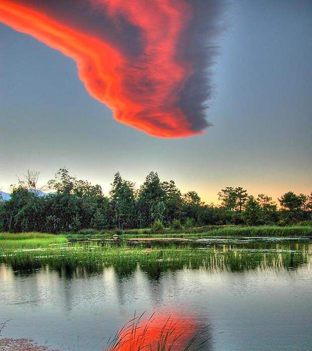 Крыло Крыло