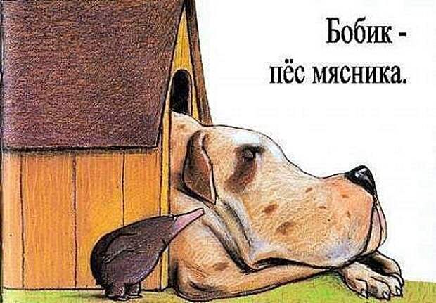 Неприятность с кротом