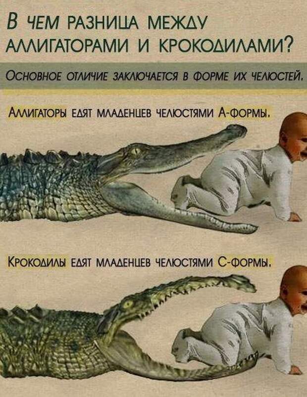 Забавные надписи и объявления