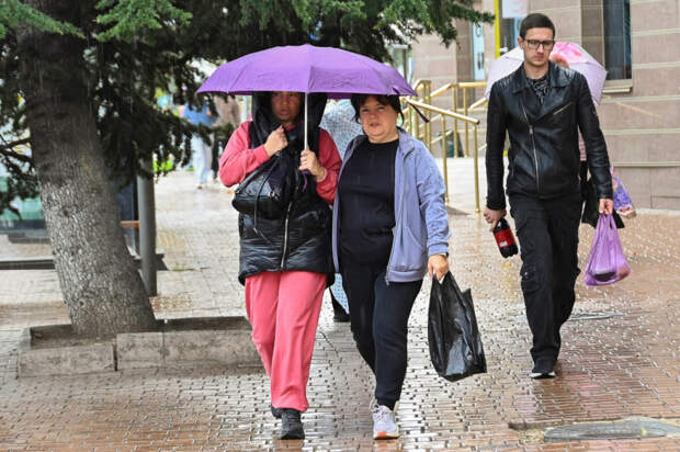 Погода 26 января: ожидаются дожди, днём до +11