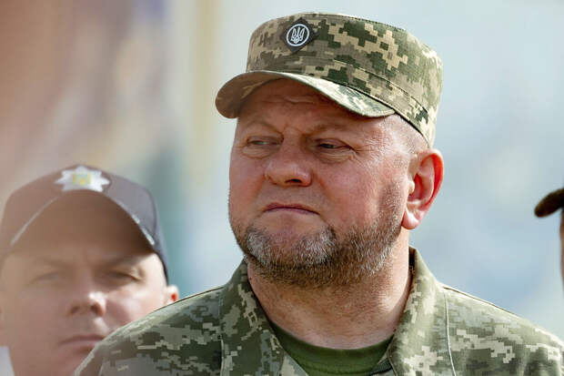 Рогов назвал слова Залужного о границах Украины отображением адекватности