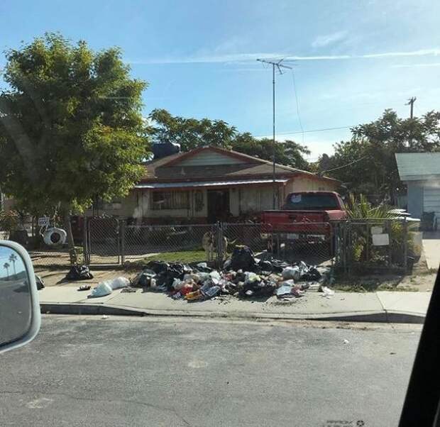 Месть любителю выбрасывать мусор в неположенных местах (2 фото)