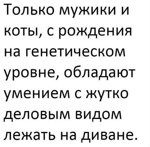 18 убойных приколов для хорошего настроения
