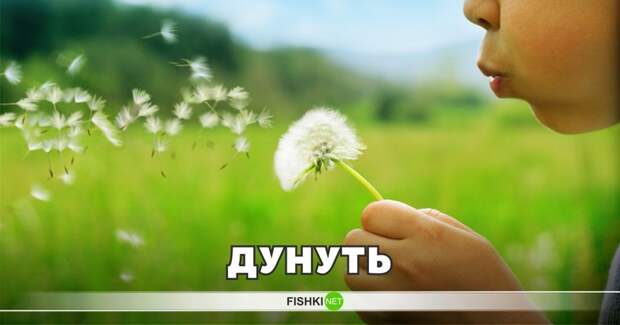 Дунуть имеет сегодня наркоманский оттенок, а когда-то дети дули на одуванчики интересное, лексика, пошлости, эвфемизмы, эффект голубого щенка