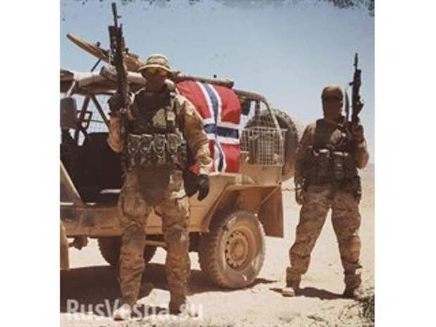 Сенсация: Норвежские солдаты тайно сражались в Сирии за российскую армию