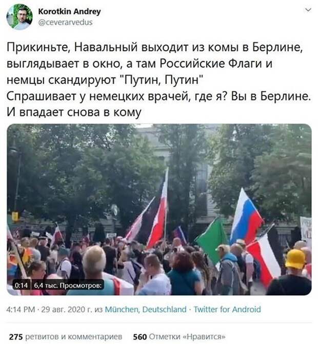 Задорные картинки о девушках, мотивации и котиках 