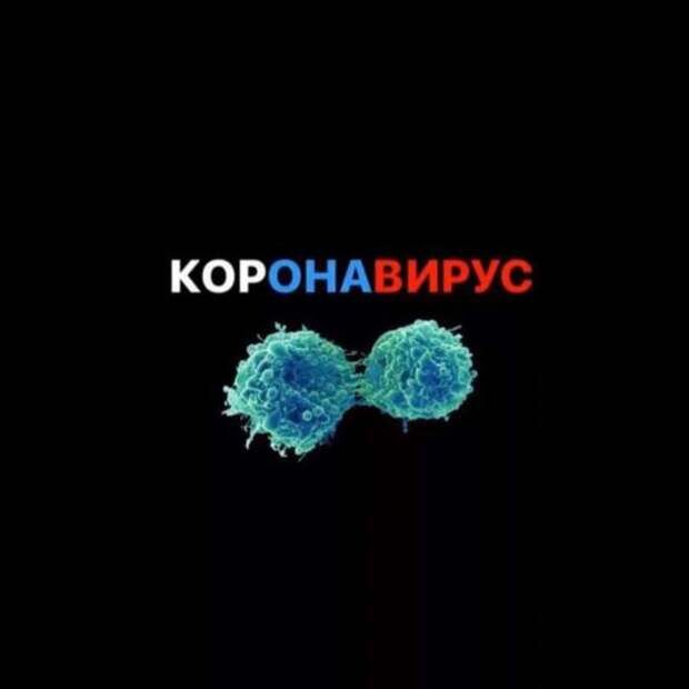 Прикольные вывески. Подборка chert-poberi-vv-chert-poberi-vv-16360614122020-10 картинка chert-poberi-vv-16360614122020-10