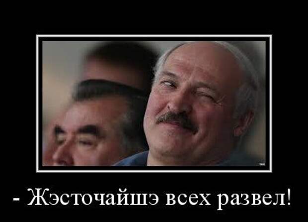 Лукашенко подался в счетоводы