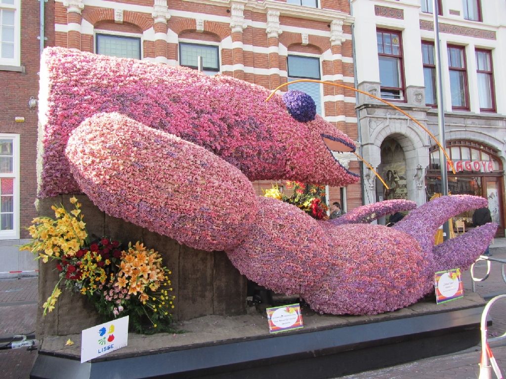 NewPix. ru - Голландский фестиваль цветов Bloemencorso
