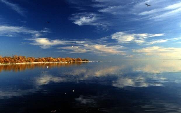 Молодое озеро Солтон-Си, которое появилось случайно