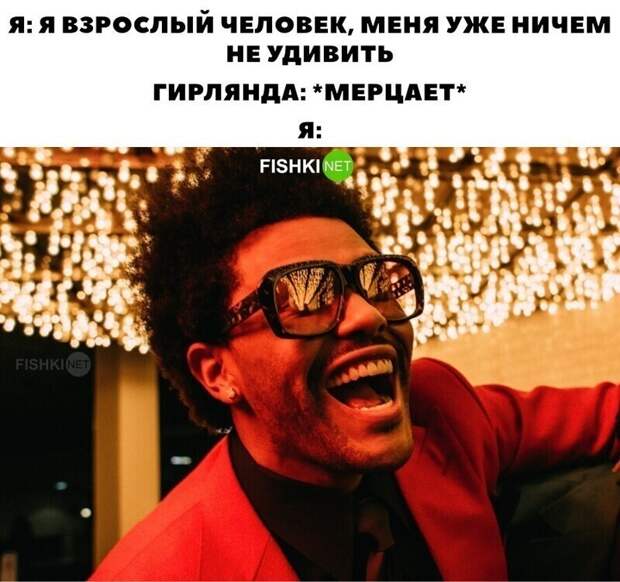 А какие гирлянды вы прикупили в этом году? А какие гирлянды вы прикупили в этом году?